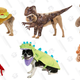 Illustration for article titled Which Halloween Costume Should I Buy For My Dog?